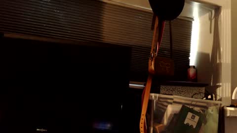 Snapshot of mistressdannydarko chatting on 21, 6, 2026 mistressdannydarko online show from 21, 6, 2026