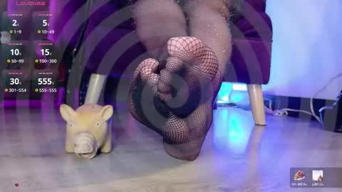 Jhadee online show from 23, 12, 2025