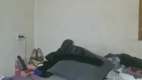 mistressmilly32 online show from 24, 3, 2026