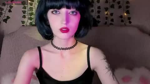 Misty  -  mistymarlow online show from 12, 6, 2026