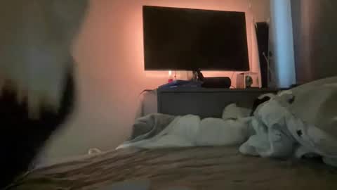 mitchellw7752 online show from 31, 12, 2024