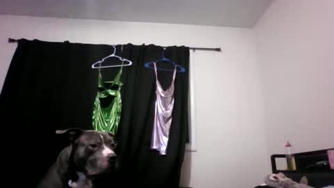 miztrezk online show from 12, 5, 2026