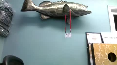 mjd666 online show from 9, 9, 2025