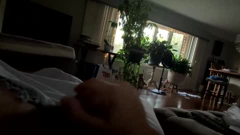 moethecheater7 online show from 2, 10, 2025