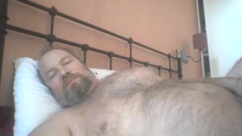 mofu781s online show from 11, 12, 2024