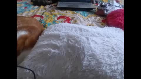 Molly And Brad online show from 5, 2, 2025