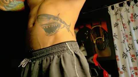 Molotov online show from 19, 11, 2025