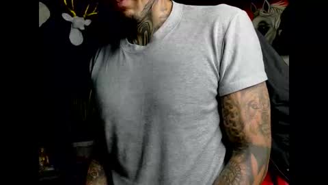 Molotov online show from 2, 2, 2026