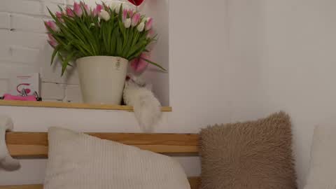 monicaasis online show from 8, 3, 2025