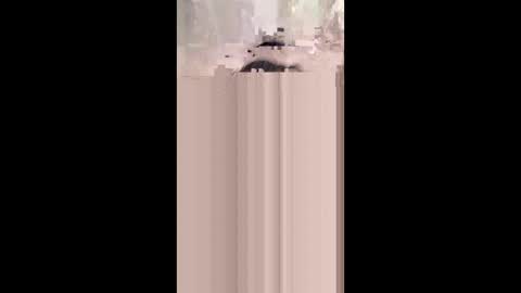 Snapshot of monicahmuchira49 chatting on 8, 1, 2026 shirybeb online show from 8, 1, 2026