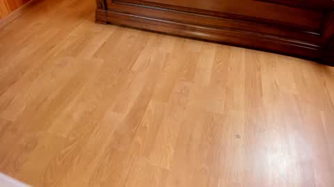 Snapshot of monika_gram chatting on 25, 1, 2025 Monika NO c2c ever. PVT free Naked Fingering pussy doggy or standing BJ HJ Feet Fashion. PVT extra Toy control 400tk. online show from 25, 1, 2025