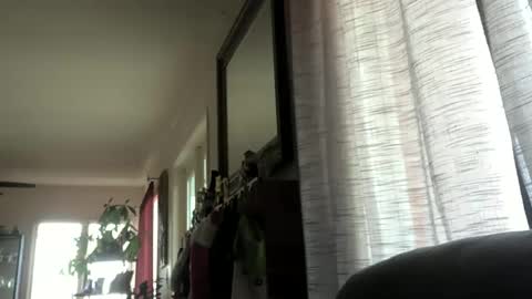 Snapshot of monkeedance chatting on 23, 12, 2024 Monkee Dance online show from 23, 12, 2024