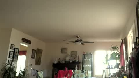 Snapshot of monkeedance chatting on 1, 1, 2025 Monkee Dance online show from 1, 1, 2025