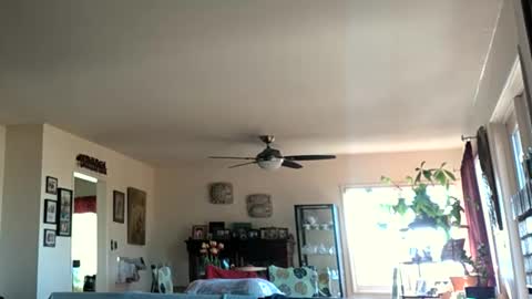 Snapshot of monkeedance chatting on 28, 1, 2025 Monkee Dance online show from 28, 1, 2025