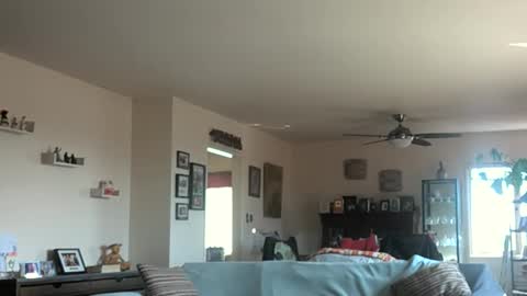 Snapshot of monkeedance chatting on 3, 3, 2025 Monkee Dance online show from 3, 3, 2025