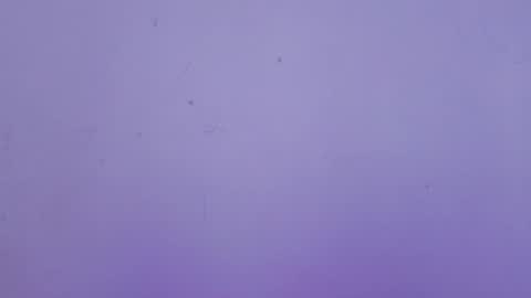 Winy online show from 17, 2, 2026