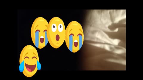 moos1 online show from 27, 9, 2025