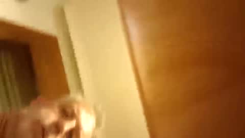 Snapshot of moos1 chatting on 8, 3, 2026 moos1 online show from 8, 3, 2026