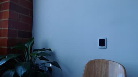 Snapshot of morbidangel08 chatting on 20, 3, 2026 Abelardo online show from 20, 3, 2026