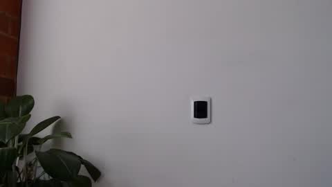 Snapshot of morbidangel08 chatting on 28, 3, 2026 Abelardo online show from 28, 3, 2026