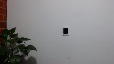 Snapshot of morbidangel08 chatting on 6, 4, 2026 Abelardo online show from 6, 4, 2026