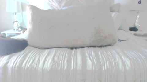 Didier online show from 2, 3, 2026