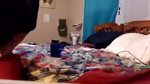 B online show from 4, 2, 2025