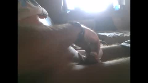 mowgli1977 online show from 28, 12, 2024