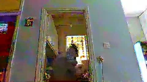 mppempis81 online show from 14, 12, 2025