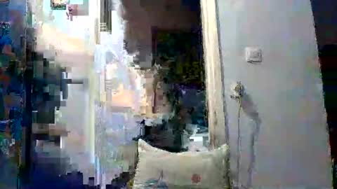 mppempis81 online show from 17, 12, 2025