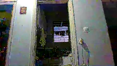 mppempis81 online show from 14, 1, 2026