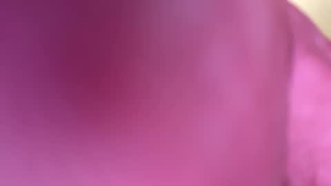 Snapshot of mr6ray chatting on 8, 1, 2025 mr6ray online show from 8, 1, 2025