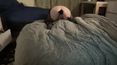 The Honey Pot  Pooh Bear online show from 17, 2, 2026