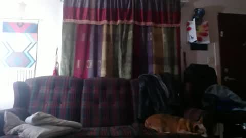 Snapshot of mr_happy12 chatting on 7, 11, 2025 mr_happy12 online show from 7, 11, 2025