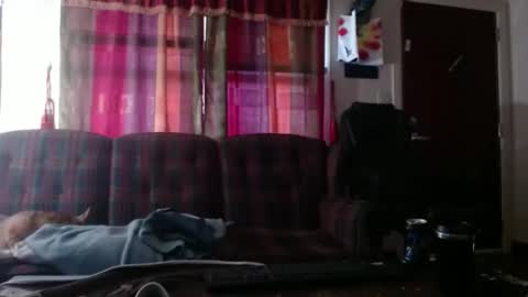 Snapshot of mr_happy12 chatting on 8, 11, 2025 mr_happy12 online show from 8, 11, 2025