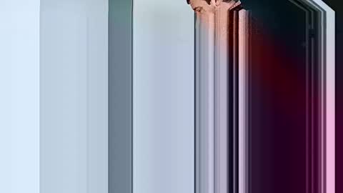 mr_i_ online show from 12, 2, 2025