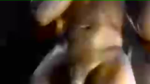 MrBigDiQ1 online show from 28, 6, 2026