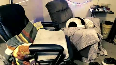 mrbiggintx online show from 12, 4, 2026