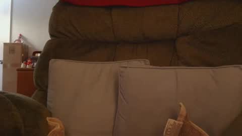 mrbrigggs online show from 9, 1, 2026