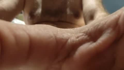 THOMMY online show from 2, 10, 2025