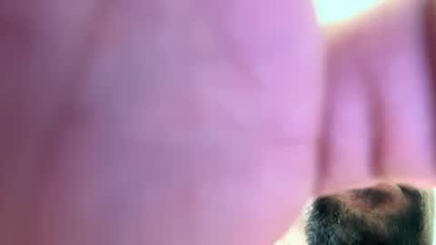 Snapshot of mrfrankfuckforfree chatting on 2, 12, 2024 mrfrankfuckforfree online show from 2, 12, 2024