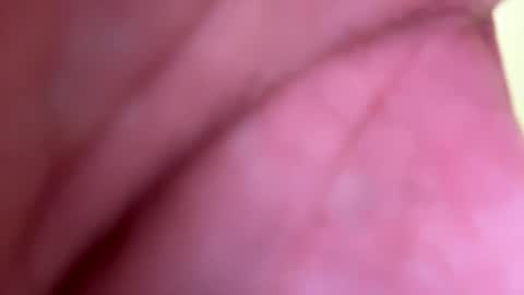 Snapshot of mrfrankfuckforfree chatting on 1, 1, 2025 mrfrankfuckforfree online show from 1, 1, 2025