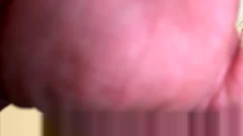 Snapshot of mrfrankfuckforfree chatting on 3, 3, 2026 mrfrankfuckforfree online show from 3, 3, 2026