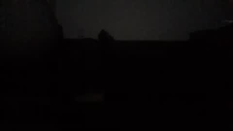 Nikola online show from 15, 10, 2025