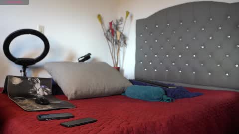 Snapshot of mrlouiss chatting on 15, 2, 2025 Luis    Instagram   online show from 15, 2, 2025