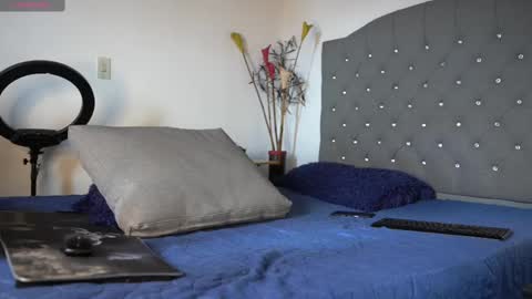 Snapshot of mrlouiss chatting on 17, 2, 2025 Luis    Instagram   online show from 17, 2, 2025