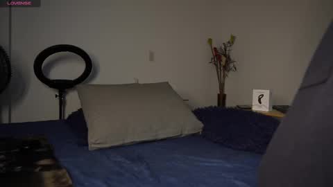 Snapshot of mrlouiss chatting on 23, 2, 2025 Luis    Instagram   online show from 23, 2, 2025