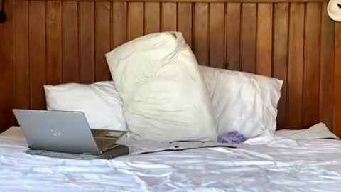 Max online show from 7, 7, 2026