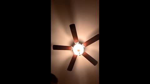 mrorange50187 online show from 4, 1, 2025