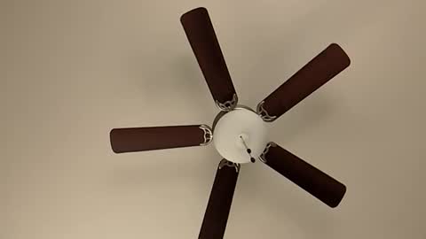 mrorange50187 online show from 8, 1, 2025